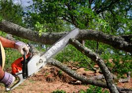 Mulching Services in Caledonia, MS